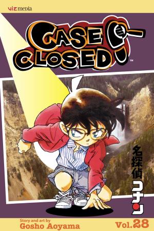 Book cover of Case Closed, Vol. 28