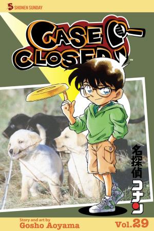 Cover of the book Case Closed, Vol. 29 by Kentaro Yabuki