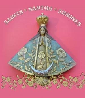 Cover of the book Saints Santos Shrines by Lisa Anderson