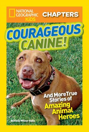Book cover of National Geographic Kids Chapters: Courageous Canine