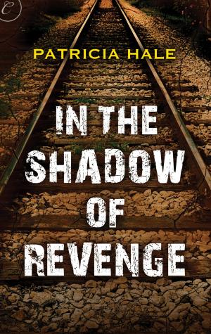 Cover of the book In the Shadow of Revenge by Katie Allen