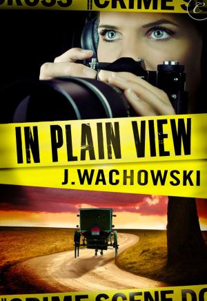 Cover of the book In Plain View by Christine Price