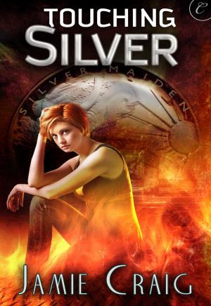 Cover of the book Touching Silver by Lucy Parker