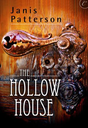 Cover of the book The Hollow House by David Slater