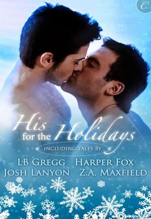 Cover of the book His for the Holidays by Julie Rowe