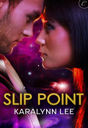 Cover of the book Slip Point by Diane Farr