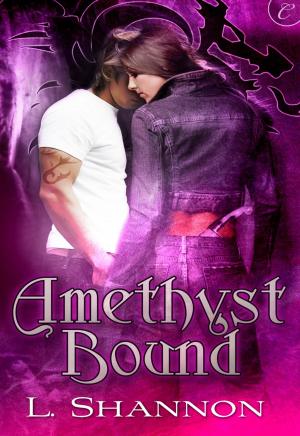 Cover of the book Amethyst Bound by Eliza Knight
