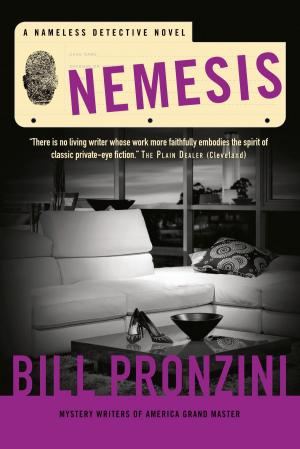 Cover of the book Nemesis by Richard S. Wheeler