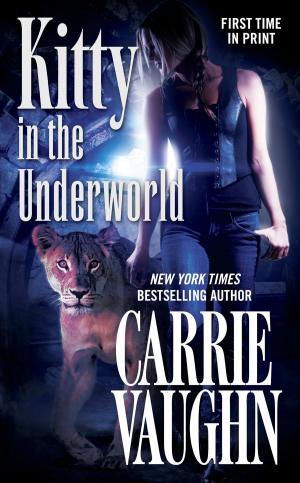 Cover of the book Kitty in the Underworld by Steven Brust, Skyler White
