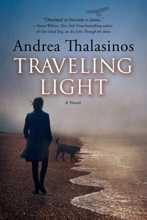 Cover of the book Traveling Light by Andy Duncan