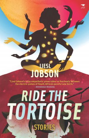 Cover of the book Ride the Tortoise by Jeremy Maggs
