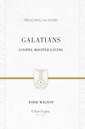 Cover of the book Galatians by John Calvin