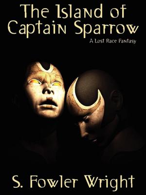 Book cover of The Island of Captain Sparrow