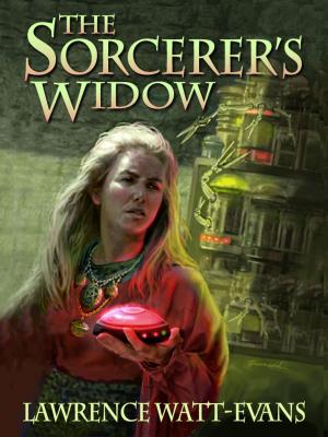 Book cover of The Sorcerer's Widow
