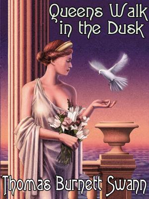 Cover of the book Queens Walk in the Dusk by Jim Johnson