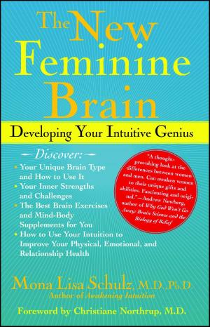 Cover of the book The New Feminine Brain by Kate Braestrup