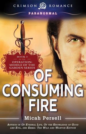 Cover of the book Of Consuming Fire by Shay Lacy