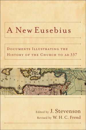 Cover of the book A New Eusebius by Wayne Gordon, John M. Perkins, Richard Mouw