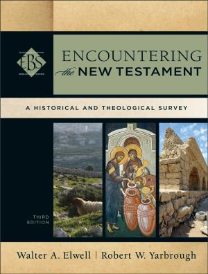 Cover of the book Encountering the New Testament (Encountering Biblical Studies) by Jean Blackmer