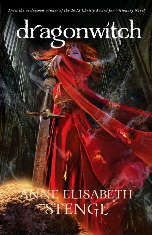 Cover of the book Dragonwitch (Tales of Goldstone Wood Book #5) by Ann Shorey