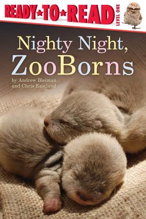 Cover of the book Nighty Night, ZooBorns by Natalie Shaw