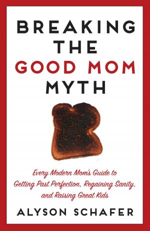 Book cover of Breaking The Good Mom Myth