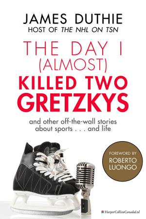 Book cover of The Day I (Almost) Killed Two Gretzkys