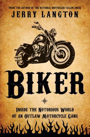 Cover of the book Biker by Ian Johnstone