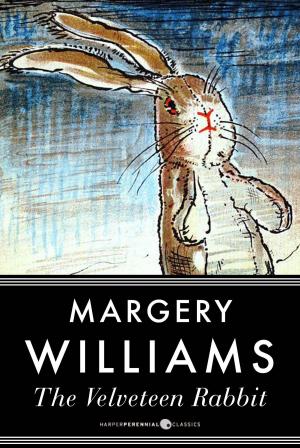 Cover of the book The Velveteen Rabbit by Hans Christian Andersen