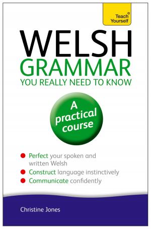 Cover of the book Welsh Grammar You Really Need to Know: Teach Yourself by Silvia Newton