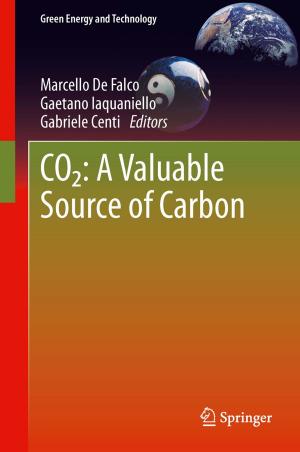 Cover of the book CO2: A Valuable Source of Carbon by Efim Benenson