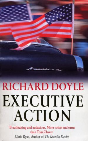 Cover of the book Executive Action by Christopher Slayton