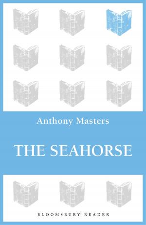 Cover of the book The Seahorse by Mr. Aaron Thier