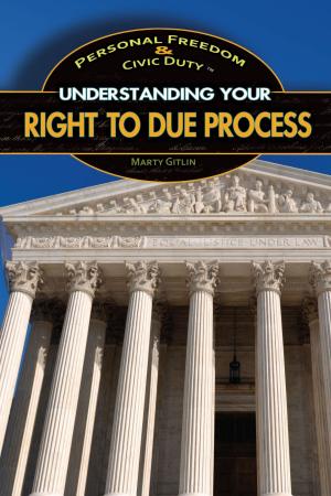 Cover of the book Understanding Your Right to Due Process by Corona Brezina
