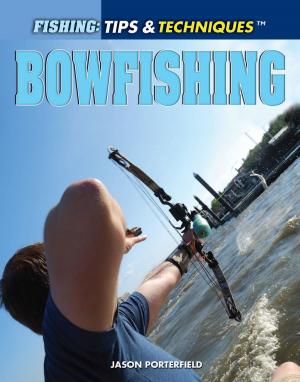 Cover of the book Bowfishing by Janice VanCleave