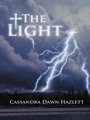 Cover of the book The Light by Ralph Stump