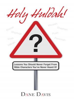 Cover of the book Holy Huldah! by Christopher Perry