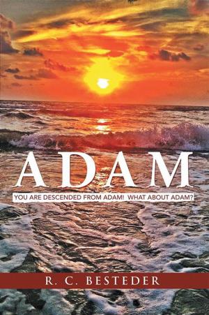 bigCover of the book Adam by 