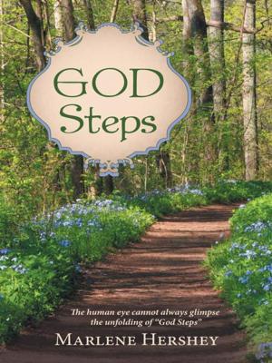 Cover of the book God Steps by Lorene Pruitt