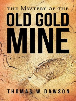 Book cover of The Mystery of the Old Gold Mine