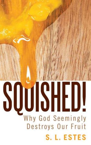 Cover of the book Squished! by Alexa Shepard