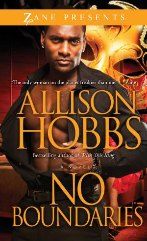 Cover of the book No Boundaries by Allison Hobbs
