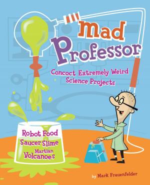 Cover of the book Mad Professor by Elinor Klivans