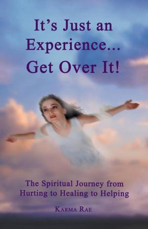 Cover of the book It’S Just an Experience ... Get over It! by Laura Kopec ND MA CNC