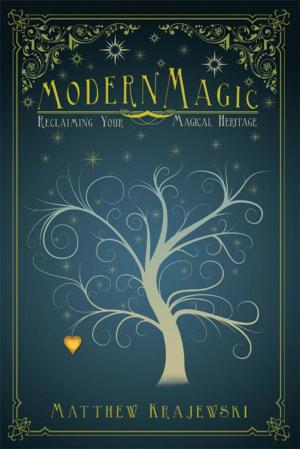 Cover of the book Modern Magic by Patrick Bouvier