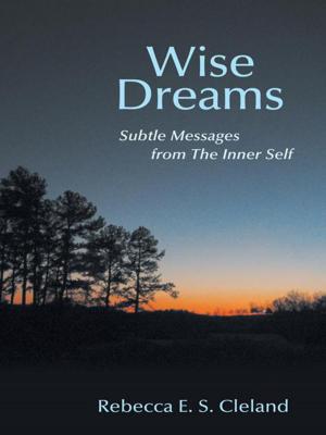 Cover of the book Wise Dreams by Dr. Raymond Broz