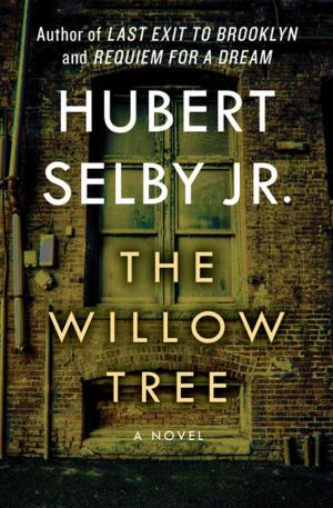 Cover of the book The Willow Tree by Irwin Shaw