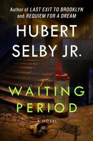 Cover of the book Waiting Period by William Kotzwinkle