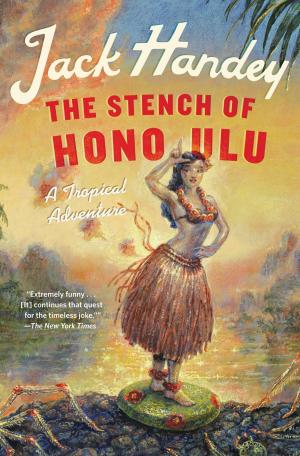 Cover of the book The Stench of Honolulu by Barbara Krueger