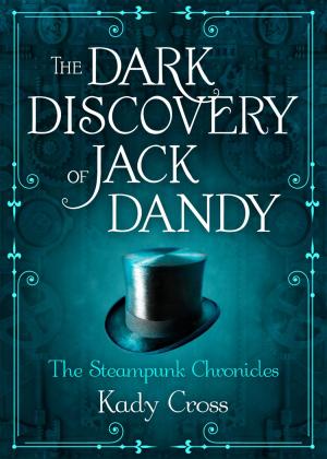 bigCover of the book The Dark Discovery of Jack Dandy by 